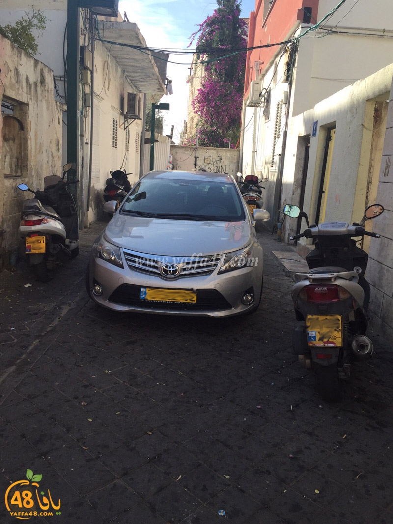 modahamaat yaffa (2).jpg